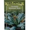 Lacinato Dino Kale Organic Seeds