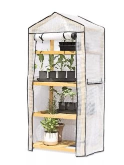 VegTrug® Patio Greenhouse -Garden Supplies 8595803 7136 tif