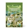 Jasmine-Scented Nicotiana Organic Seeds