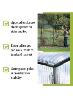 Crop Cage, 4' X 12' -Garden Supplies 8596540 4