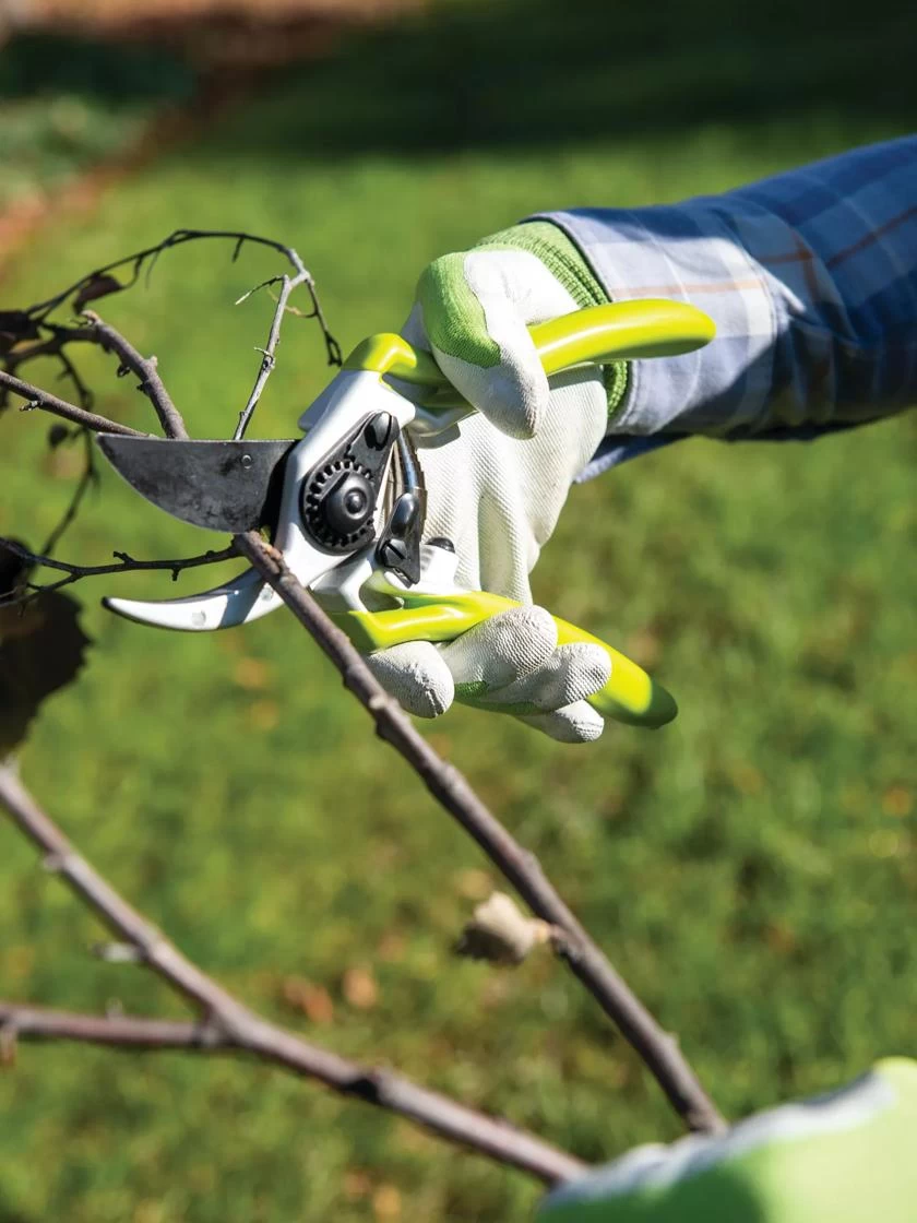 Gardener's Pro Pruner #2 4 Gardener's Pro Pruner #2 - Image 4
