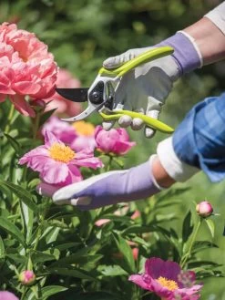 Gardener's Pro Pruner #2 6 Gardener's Pro Pruner #2 -Garden Supplies 8596605 1261 tif