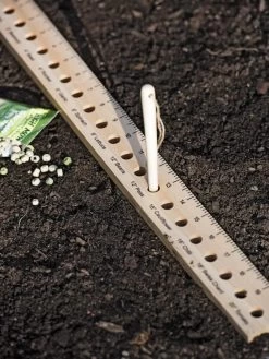 Intervale Seed And Plant Spacing Ruler
