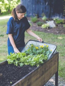 Pop-Up Crop Protector -Garden Supplies 8596763 EasyCropProtector gif