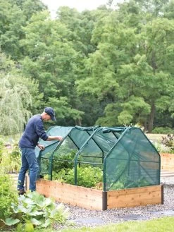 3-Season Plant Protection Tent, 4' X 8' -Garden Supplies 8598282 0101 tif