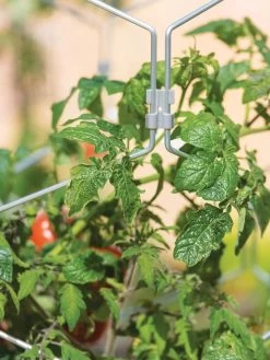 Gardener's Vertex Lifetime Tomato Cage 8 Gardener's Vertex Lifetime Tomato Cage -Garden Supplies 8598426 0011 tif