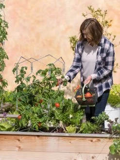 Gardener's Vertex Lifetime Tomato Cage 9 Gardener's Vertex Lifetime Tomato Cage -Garden Supplies 8598426 0026 tif