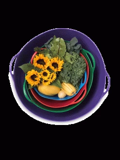 Colorful Tubtrug, 3-1/2 Gallon -Garden Supplies 8599088 20GalTubTrug gif 1