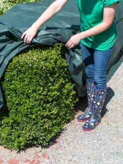 The Planket® Frost Protection Plant Cover, 10' X 20' -Garden Supplies 8599101 0929 tif