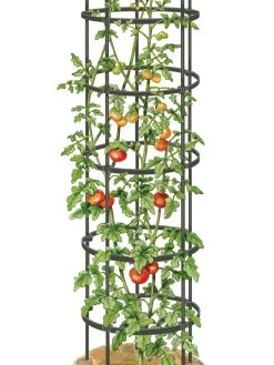 Titan Tall Tomato Cages, Set Of 3 -Garden Supplies 8599860 0002 art tif