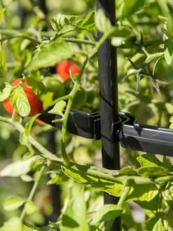 Titan Tomato Cages, Set Of 3 -Garden Supplies 8599861 0079 tif