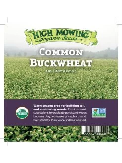 Common Buckwheat Organic Seeds 7 Common Buckwheat Organic Seeds -Garden Supplies 8599871 04v
