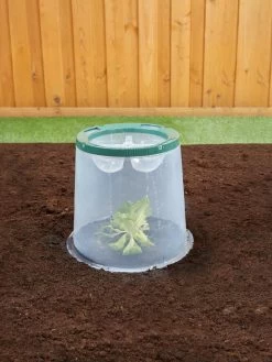 Sunny Forcing Cloches, Set Of 3 -Garden Supplies 8600075 02V tif
