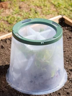 Sunny Forcing Cloches, Set Of 3 -Garden Supplies 8600075 0734 tif