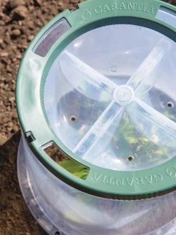 Sunny Forcing Cloches, Set Of 3 -Garden Supplies 8600075 0742 tif