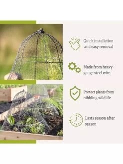 Chicken Wire Cloche With Extension -Garden Supplies 8600116 3