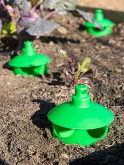 Slug And Snail Traps, Set Of 3 -Garden Supplies 8600120 1788