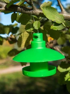 Slug And Snail Traps, Set Of 3 -Garden Supplies 8600120 1792