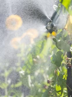 Landscape 4-Way Cooling Mist Kit, 50' -Garden Supplies 8600154 0695 tif