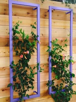 Ina Modern Wall Trellis Sr. -Garden Supplies 8600510 07V tif