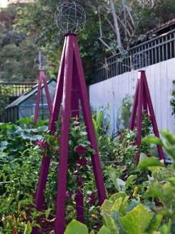 Akoris Garden Tuteur Jr. 13 Akoris Garden Tuteur Jr. -Garden Supplies 8600517 01V akoris garden tuteur tif 1