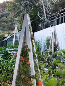 Akoris Garden Tuteur Jr. 12 Akoris Garden Tuteur Jr. -Garden Supplies 8600517 07V tif