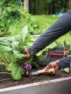 Gardener's Lifetime Hori Hori Knife 7 Gardener's Lifetime Hori Hori Knife -Garden Supplies 8608888 0422 tif