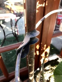 Garden Cane Connects, Set Of 6 -Garden Supplies 8609019 03V tif