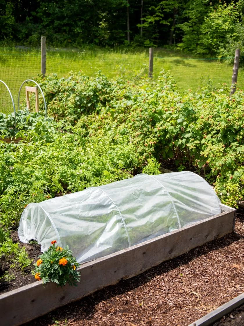 Easy Plastic Garden Tunnel 2 Easy Plastic Garden Tunnel - Image 2