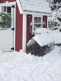 Chicken Wire Crop Coop -Garden Supplies 8609080 03IN tif