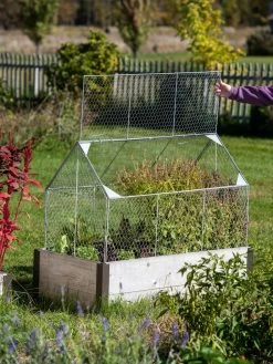 Chicken Wire Crop Coop -Garden Supplies 8609080 4024