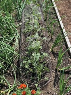 Chicken Wire Row Cloche Expandable Extra Large 3N1 -Garden Supplies 8609412 5903 tif