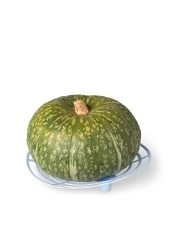 Melon And Squash Cradles, Set Of 6 -Garden Supplies 8609464 5204 tif