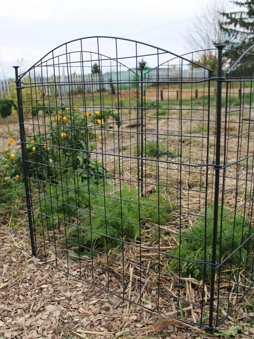 4 Panel Critter Fence 2 4 Panel Critter Fence - Image 2