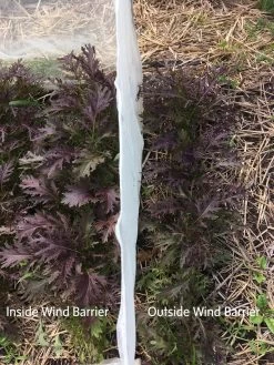 Wind Screen -Garden Supplies 8610175 1245 tif