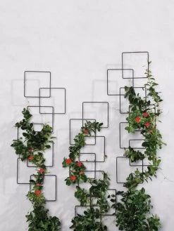 Building Blocks Wall Trellis, 45" -Garden Supplies 8610183 5811 tif