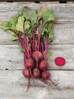 Family Garden Organic Seed Collection, Set Of 7 -Garden Supplies 8610262 Detroit Dark Red Beet 03V tif
