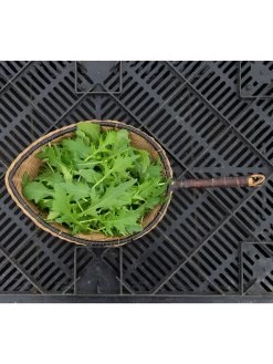 Silk Road Garden Organic Seed Collection, Set Of 6 -Garden Supplies 8610264 mizuna babyleaf 01v