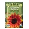 Velvet Queen Sunflower Organic Seeds