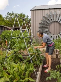 Connector Kit For DIY A Frame Plant Support 11 Connector Kit For DIY A Frame Plant Support -Garden Supplies 8610366 7584 tif