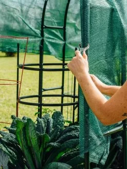 Maxi Garden Hoops With Clips 12 Maxi Garden Hoops With Clips -Garden Supplies 8610372 368 tif