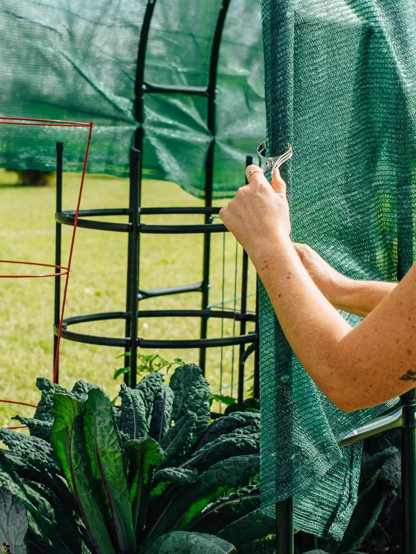 Maxi Garden Hoops With Clips 5 Maxi Garden Hoops With Clips - Image 5