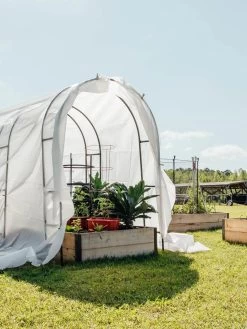 Maxi Garden Quilt 6 Maxi Garden Quilt -Garden Supplies 8610373 373 tif