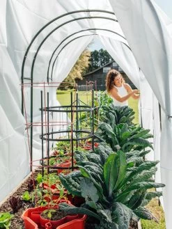 Maxi Garden Hoops With Clips 11 Maxi Garden Hoops With Clips -Garden Supplies 8610373 377 tif