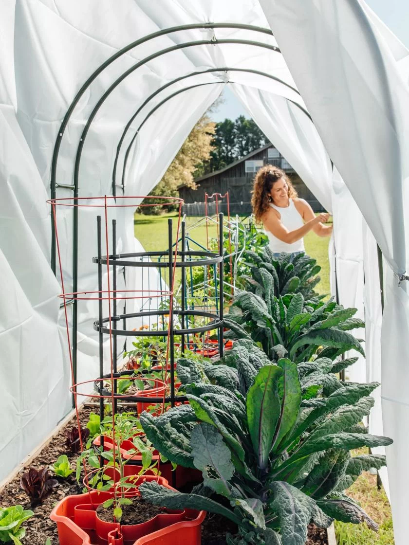 Maxi Garden Hoops With Clips 4 Maxi Garden Hoops With Clips - Image 4