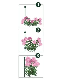 Peacock Mini Plant Support Rings 4", Set Of 2 -Garden Supplies 8610383 07v