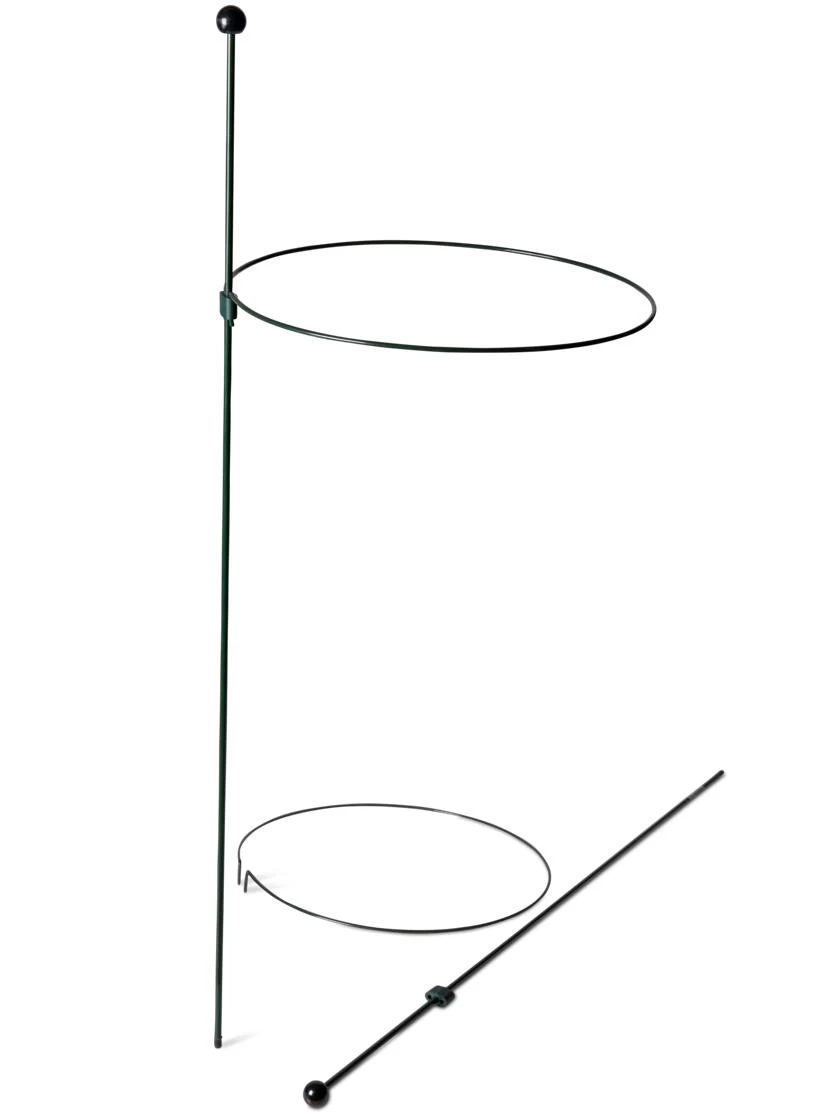 Peacock Classic Plant Support Rings 15", Set Of 2 4 Peacock Classic Plant Support Rings 15", Set Of 2 - Image 4