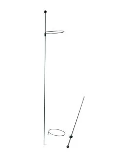 Peacock Mini Plant Support Rings 4", Set Of 2 -Garden Supplies 8610386 9566