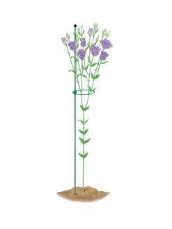 Peacock Mini Plant Support Rings 4", Set Of 2 -Garden Supplies 8610386 peacock4x36