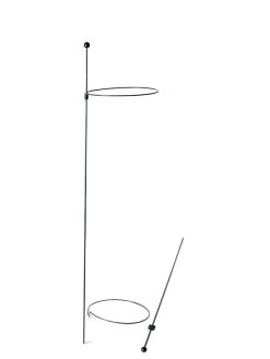 Peacock Mini Plant Support Rings 8", Set Of 2 -Garden Supplies 8610388 9565 tif